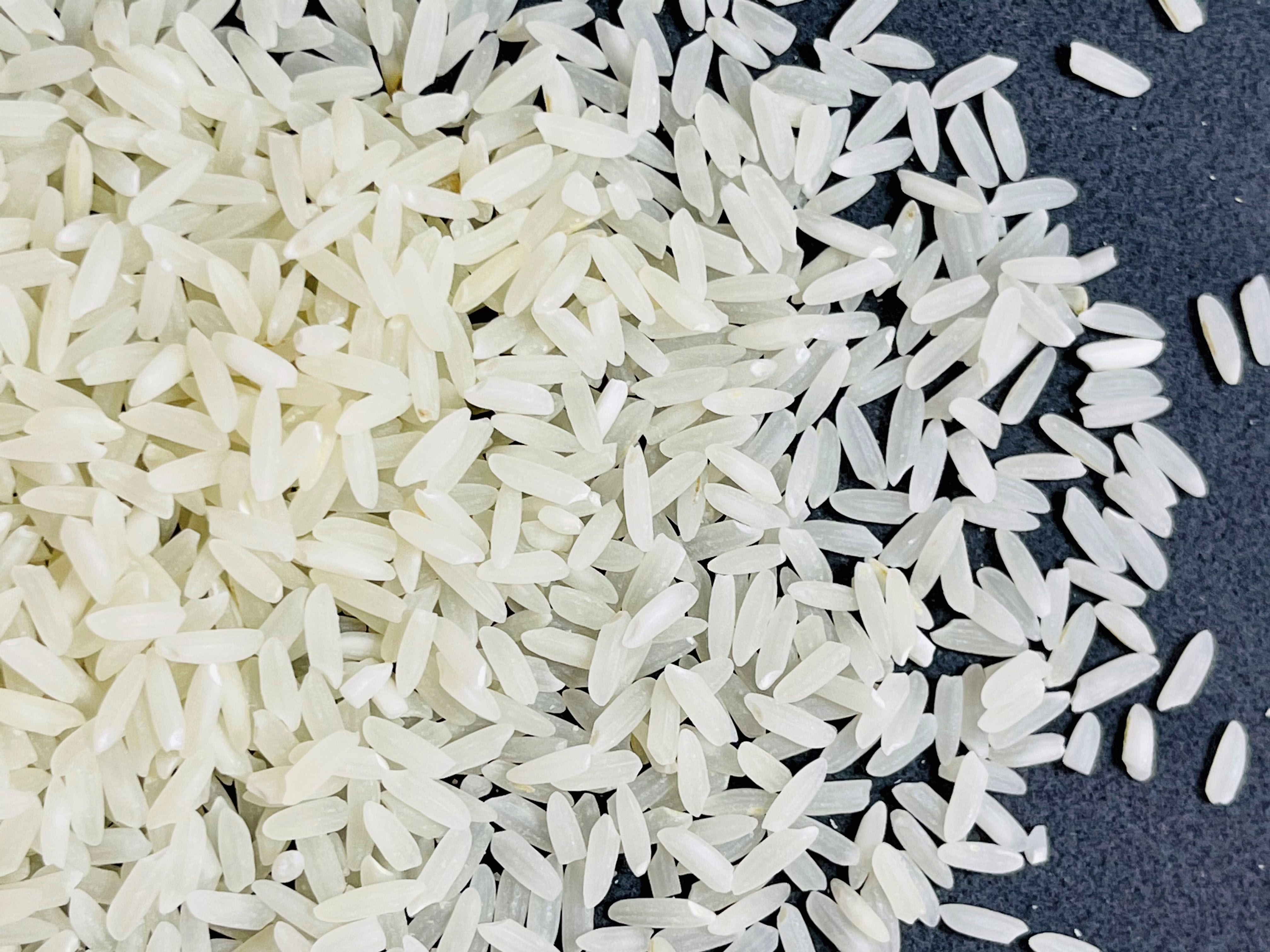 LSU AgCenter rice field day set for June 30